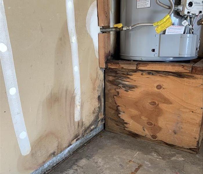 Water heater on a stand with mold surrounding the base of the water heater and he walls