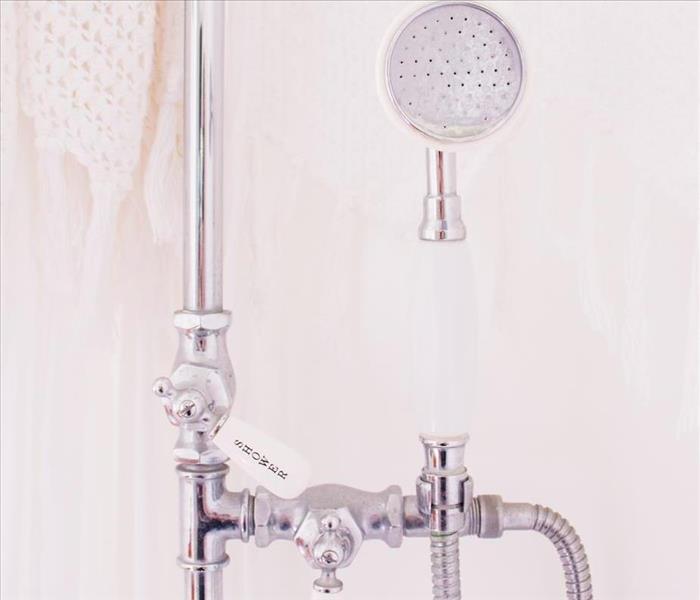 white shower and shower head