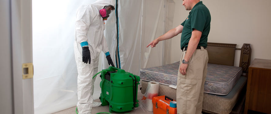 Manteca, CA mold removal process